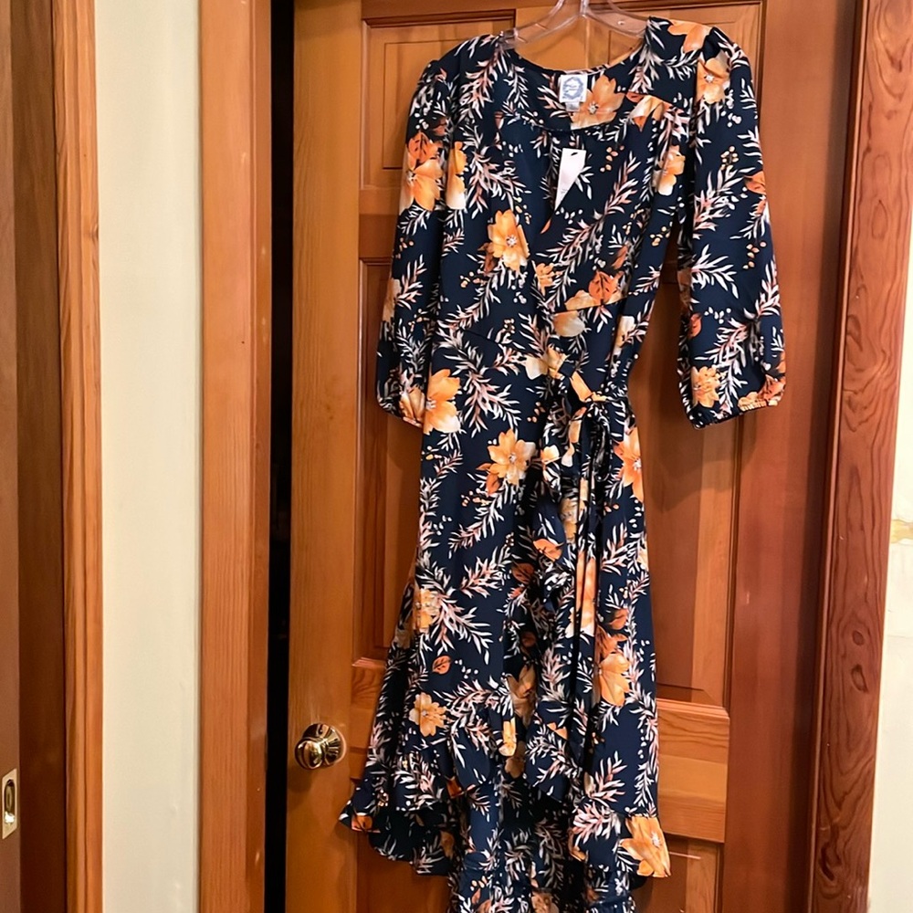 NWT Blue Rain Dress size large